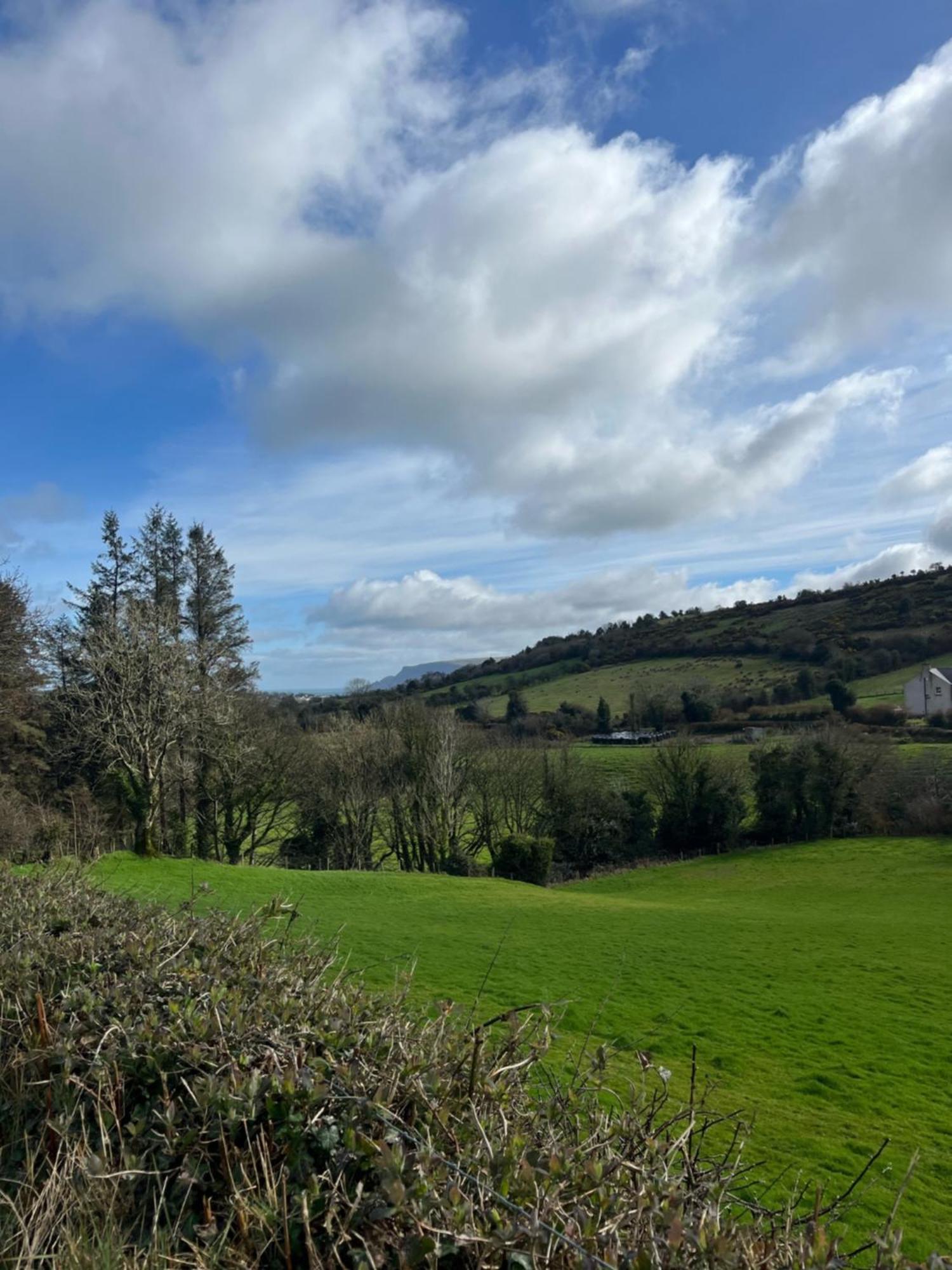 Tavnaghoney Cottages Cushendall Dış mekan fotoğraf
